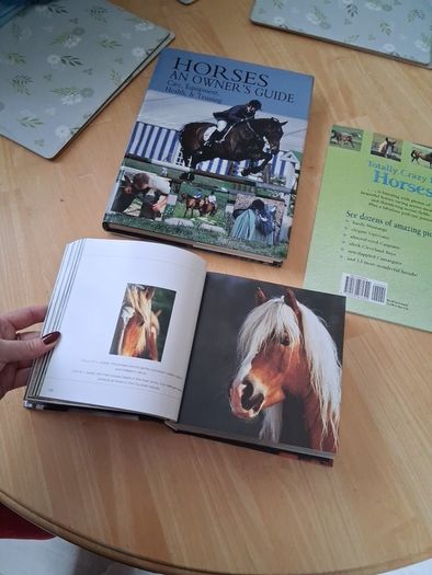 horse books