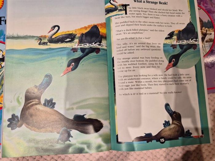 Vintage oversized Book World of Animals