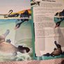 Vintage oversized Book World of Animals Image 5