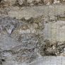 Pit silage Image 8