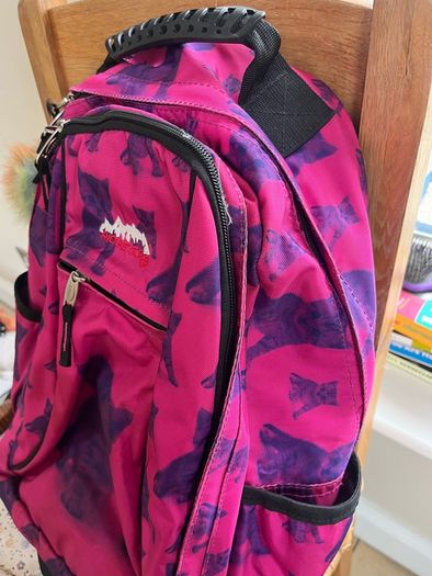Ridge 53 Back Pack