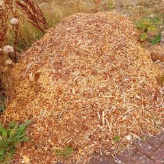 Bark chippings