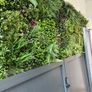 Artificial Wall Grass Image 8