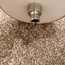 Large silver screw on shower head Image 2