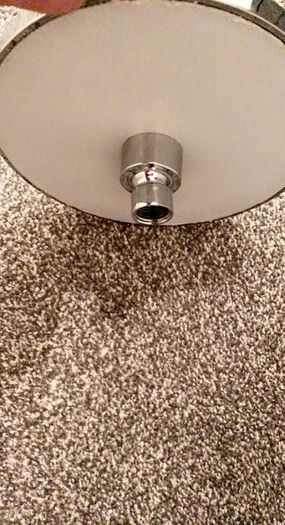 Large silver screw on shower head