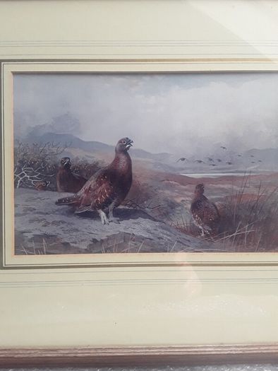 Vintage print