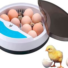 Egg incubator Chicken Incubators for hatching eggs with Automatic Temperature and Humidity Control (9 Eggs) - Chick Brooder - chicken eggs, Duck, Quail eggs, Goose and incubator Box kit (FREE POSTAGE)