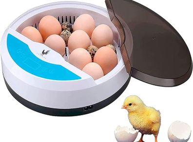 Egg incubator Chicken Incubators for hatching eggs with Automatic Temperature and Humidity Control (9 Eggs) - Chick Brooder - chicken eggs, Duck, Quail eggs, Goose and incubator Box kit (FREE POSTAGE)