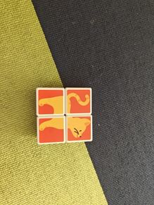 4 animals magnetic blocks