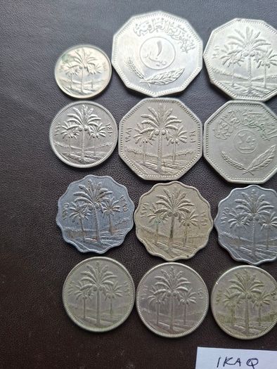 A Lot of 16 coins from Iraq (1938-1990)
