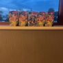 Pokemon Booster Boxes Image 7