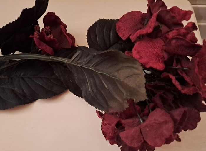 Velvet Hydrangeas