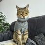 Grey Knitted Jumper for Cat or small Dog - NEW Image 3