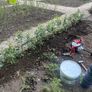 planting service Image 2