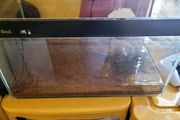fish tank with extra gravels