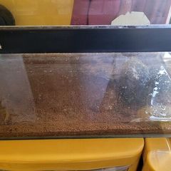 fish tank with extra gravels