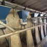 Milking machine Image 10