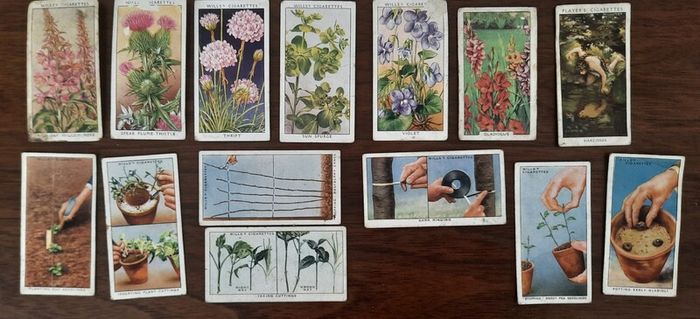 Vintage Wills Cigarette Cards - Wild Flowers & Garden Hints