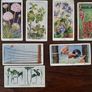 Vintage Wills Cigarette Cards - Wild Flowers & Garden Hints Image 4