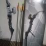 bow and arrow Image 3