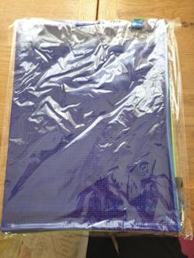 school mesh bag