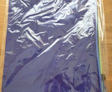 school mesh bag