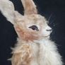 Large Large Bunny picture Image 2