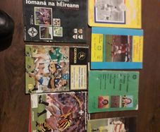 Hurling programmes