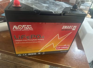 Lifepo4 12v 100ah Bluetooth camper battery