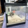 50L Tank W/ Filter & Heater Image 5
