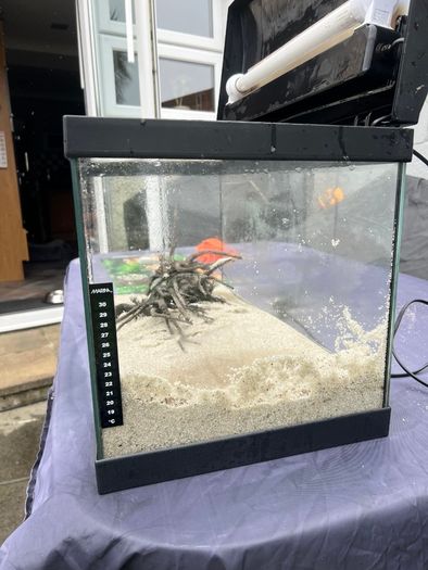 50L Tank W/ Filter & Heater