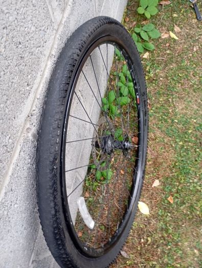 29"  wheels