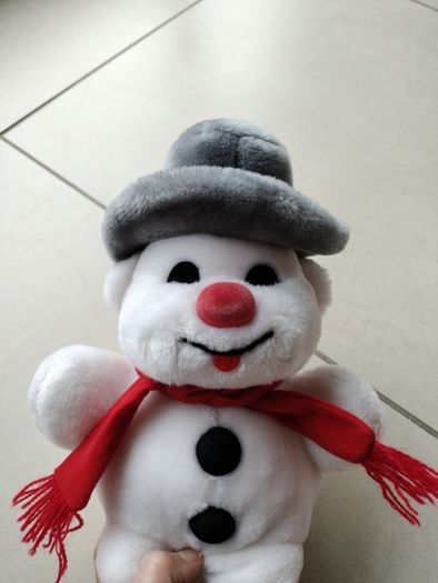 Teddy