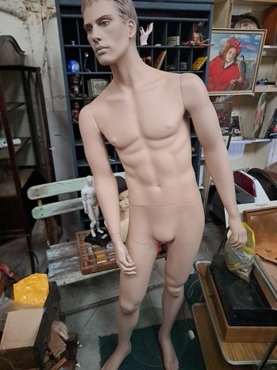 Male Mannequin