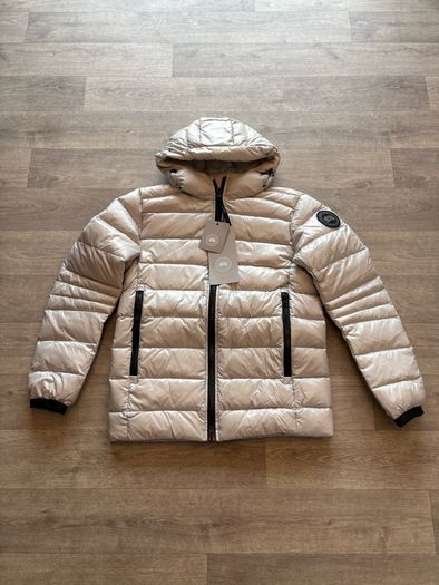 canada goose
