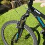Ridgeback Serenity Image 3
