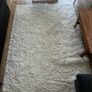 Shaggy Rug Image 2