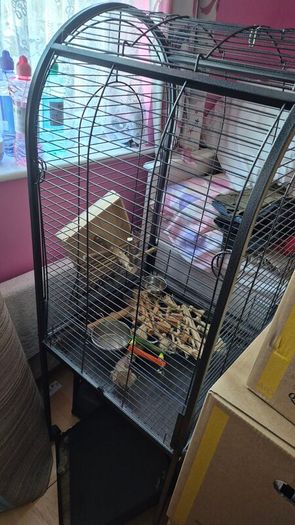 bird cage