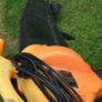 Electric Blower PRO LAWN SKU 343698 Image 4