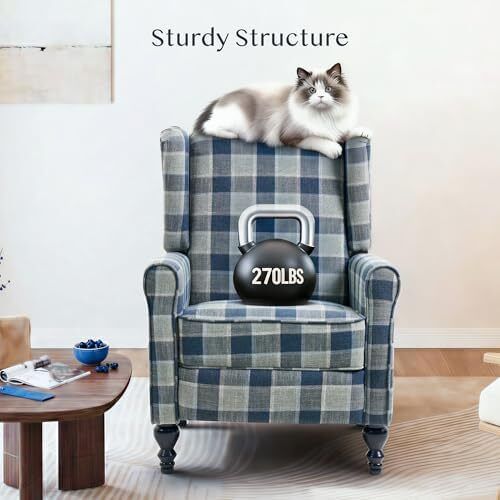 Recliner Chair Armchair Adjustable Single Chair Sofa for Relaxing Accent Chair Pushback for Living Room Bedroom Wing Back Reclining | Grey