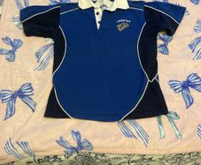 Leinster rugby shirt short sleeve
