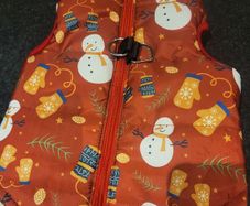 Christmas dog jacket