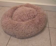 Dog Bed