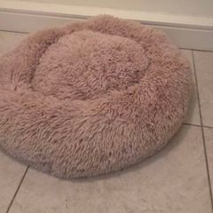 Dog Bed