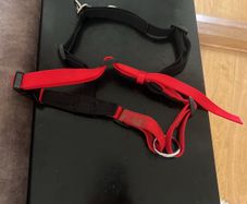 Dog Training Collar