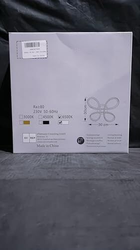 Modern LED Ceiling Light