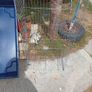 small animal cage Image 2