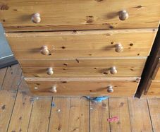 protea pine drawer