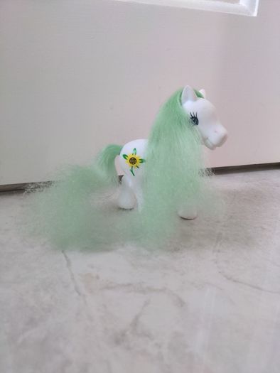 Ponies and Unicorns