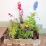 instant garden starter pack of 20 plants Image 3